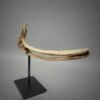 Dayak Dart Quiver Holder From The Keyah Kayan Tribes - Image 13