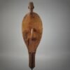 Dayak Bidayuh Ceremonial Ritual Shield - Image 10