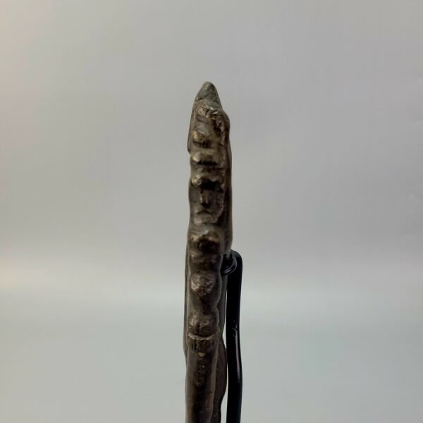 Dayak Charm From Fossilize Wood - Image 7